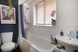 Photo 11- click for photo gallery